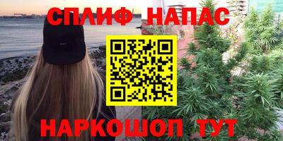 дмт Донецк