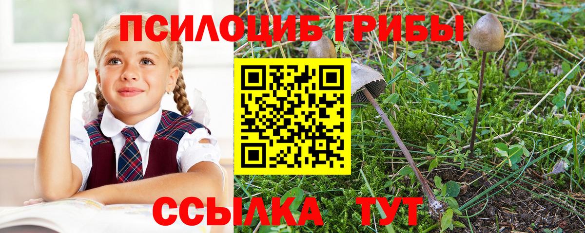 Галлюциногенные грибы MAGIC MUSHROOMS Миасс